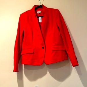 NWT loft blazer sz 12